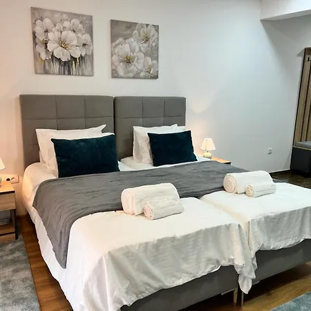 Apartment Profesional Pajkovic Valjevo