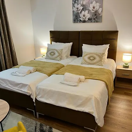 Profesional Pajkovic Apartman