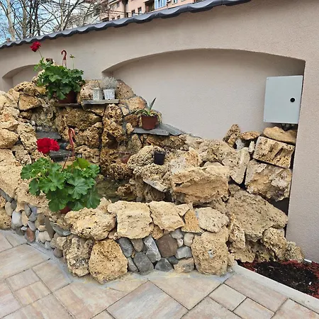 Apartment Profesional Pajkovic *