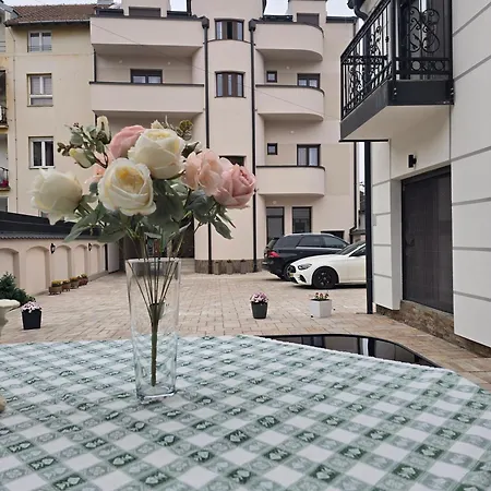 Profesional Pajkovic