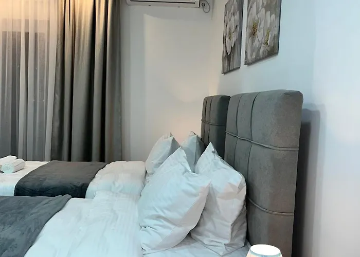 Profesional Pajkovic * Valjevo