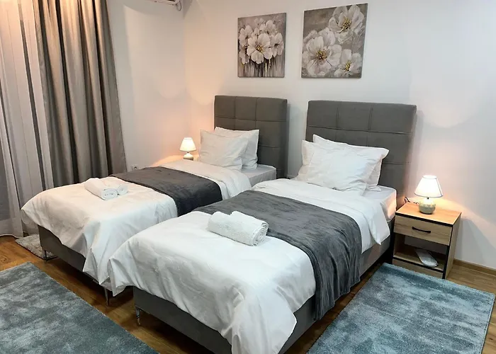 Profesional Pajkovic * Valjevo