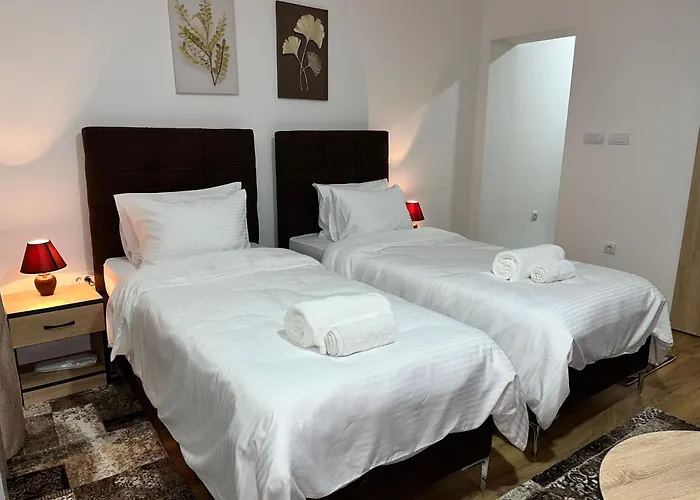 Profesional Pajkovic Valjevo