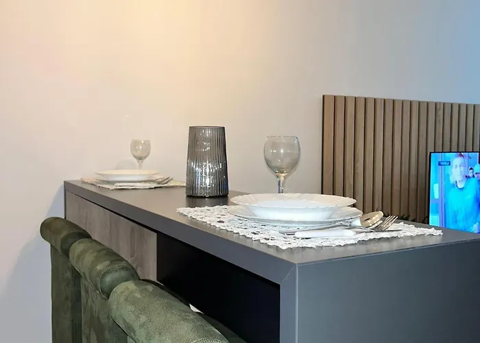 Apartment Profesional Pajkovic *