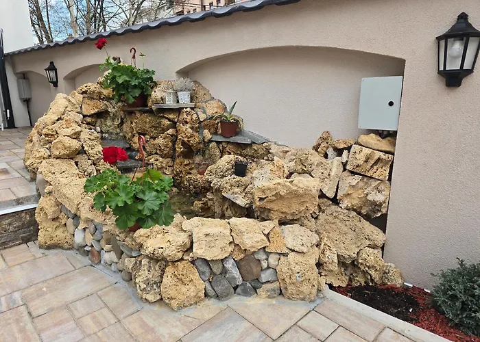 Apartment Profesional Pajkovic *